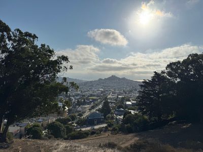 Morning Walk