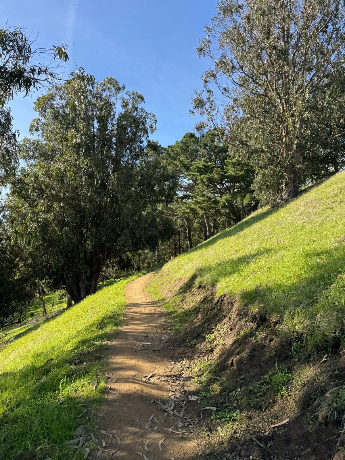 Afternoon Walk