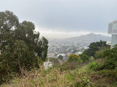 Morning Walk