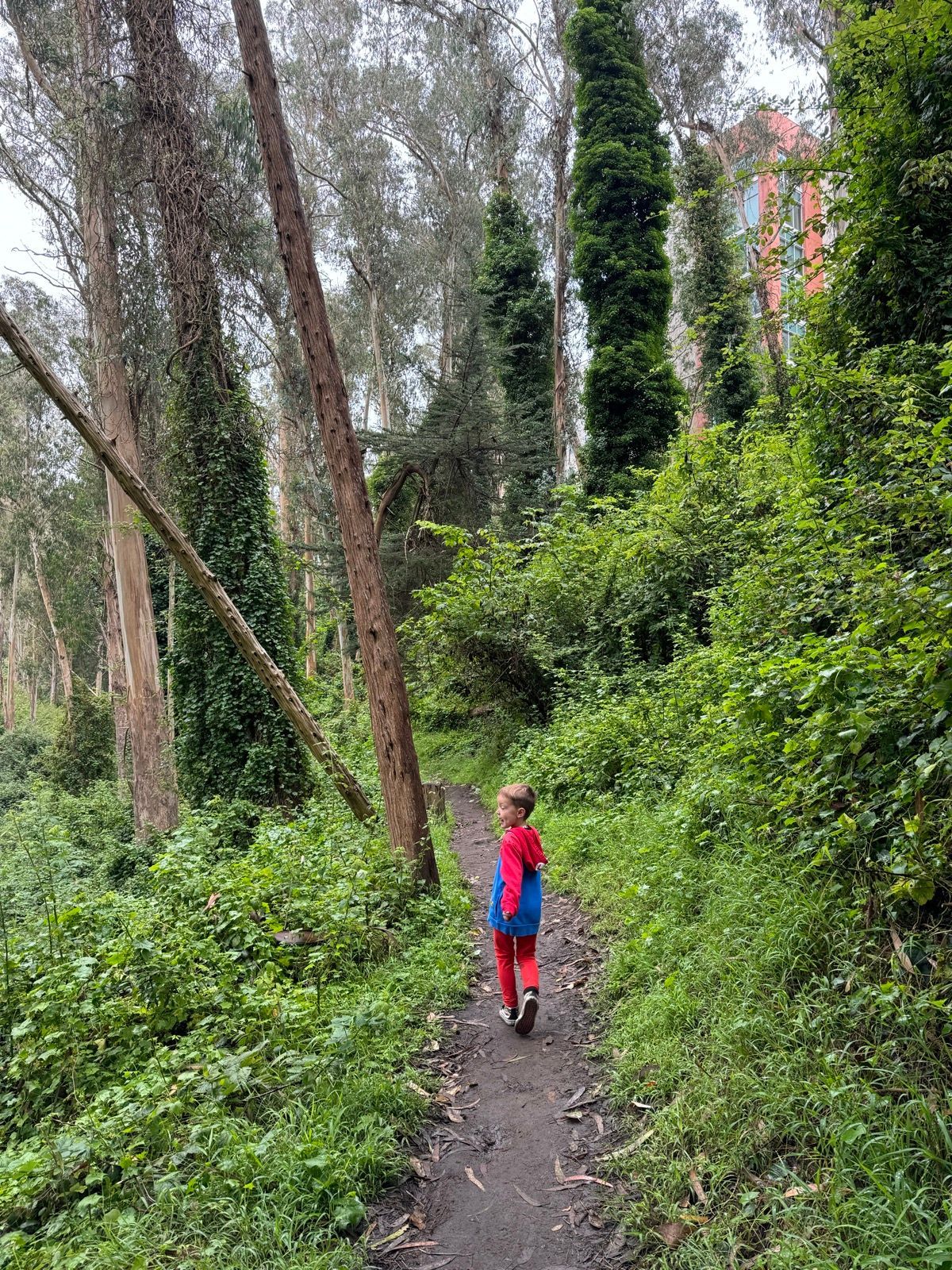 i walked every trail in these woods with strava paused 3 seconds into the hike from putting my damned phone in my pocket, unpaused it for the stair walk back 🙄🙄🙄