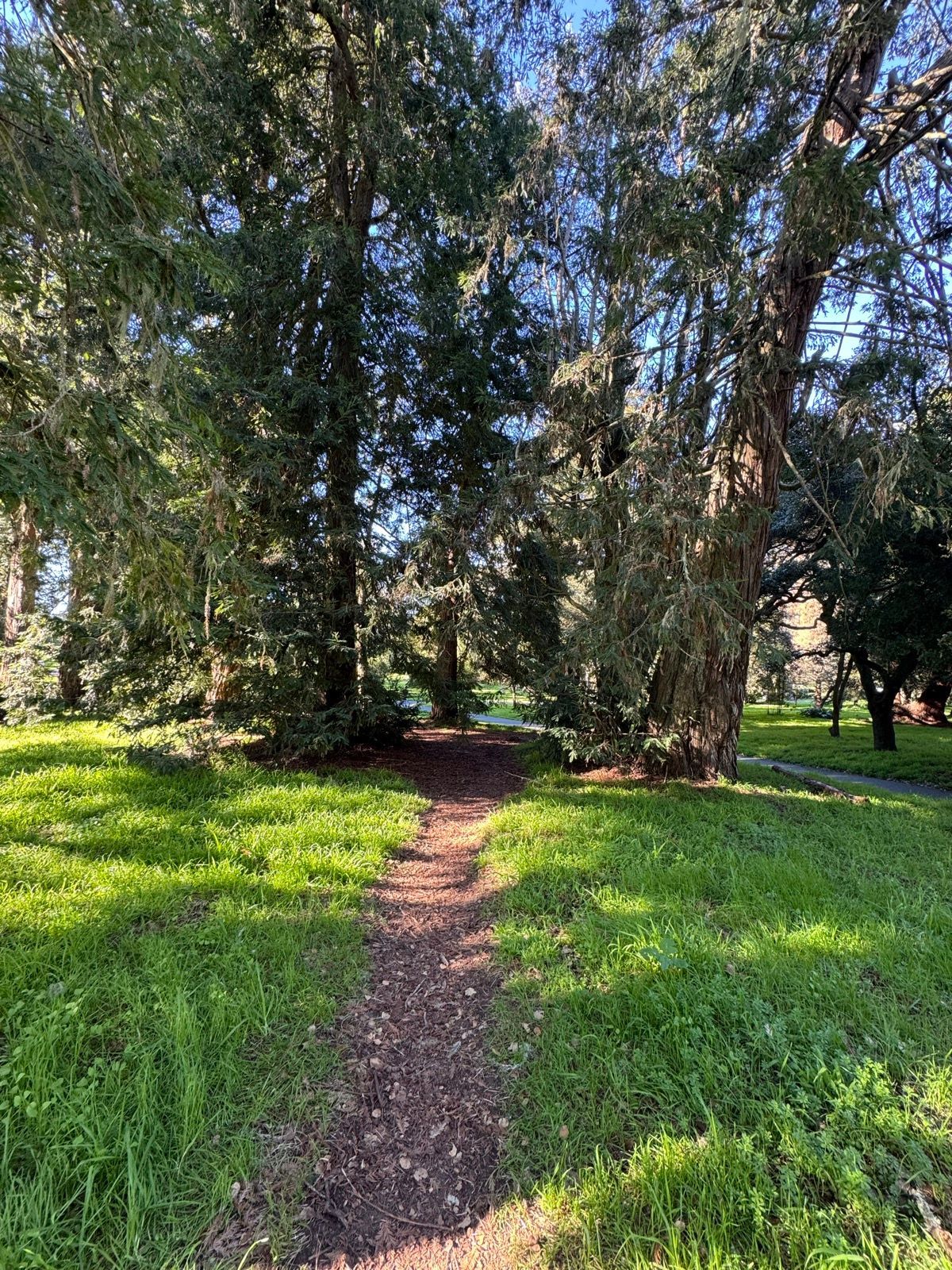 Afternoon Walk