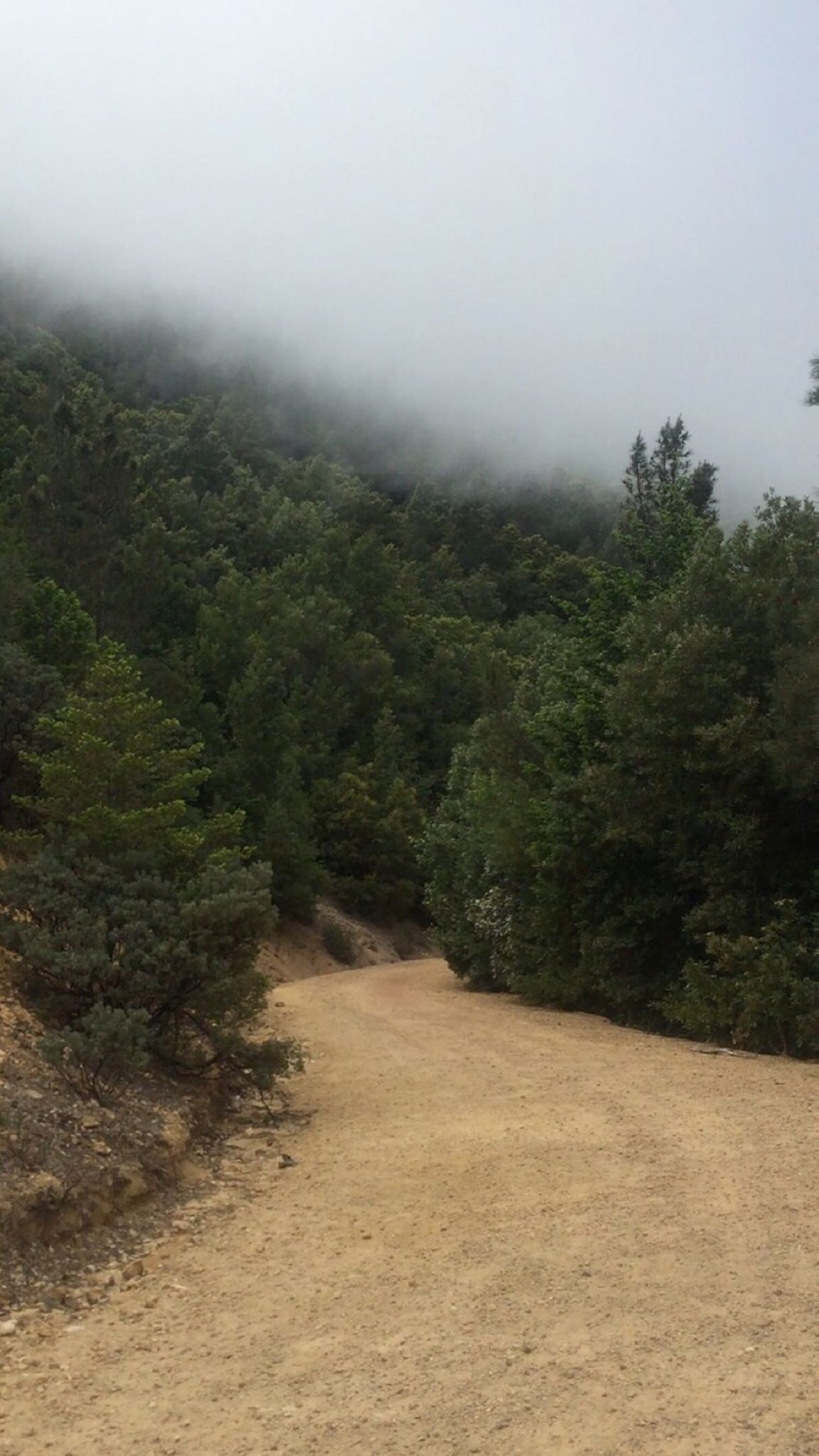 Mt St Helena