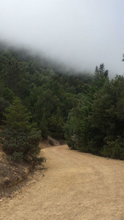 Mt St Helena
