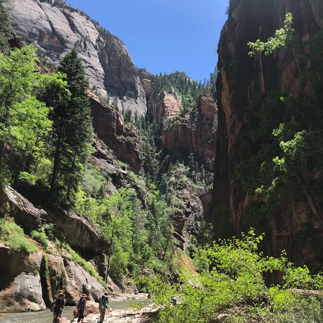 Hiked the narrows at Zion, amazing! Zion, Bryce, and a few more parks around here are absolutely worth the road trip to Utah.