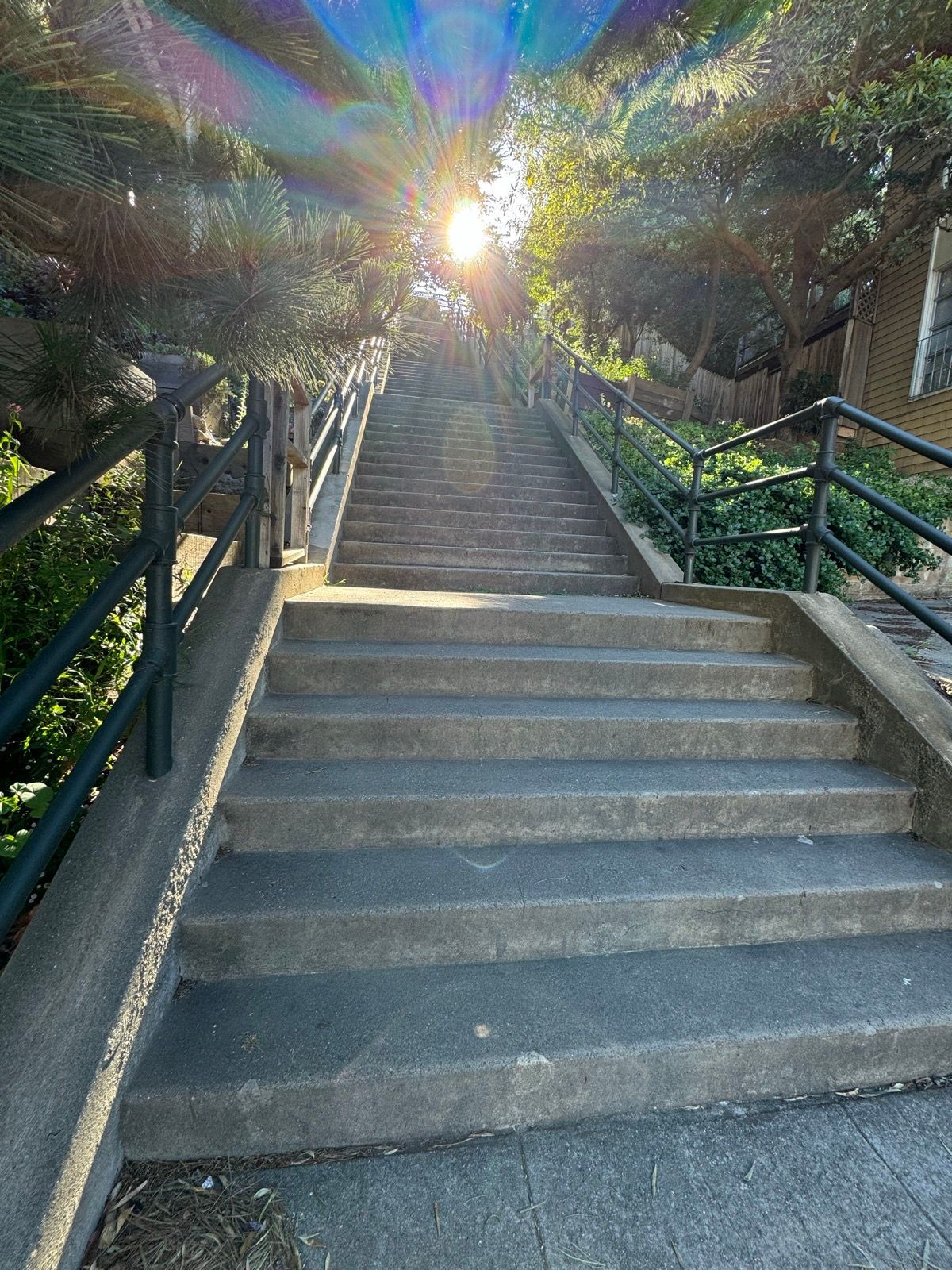 Morning Walk