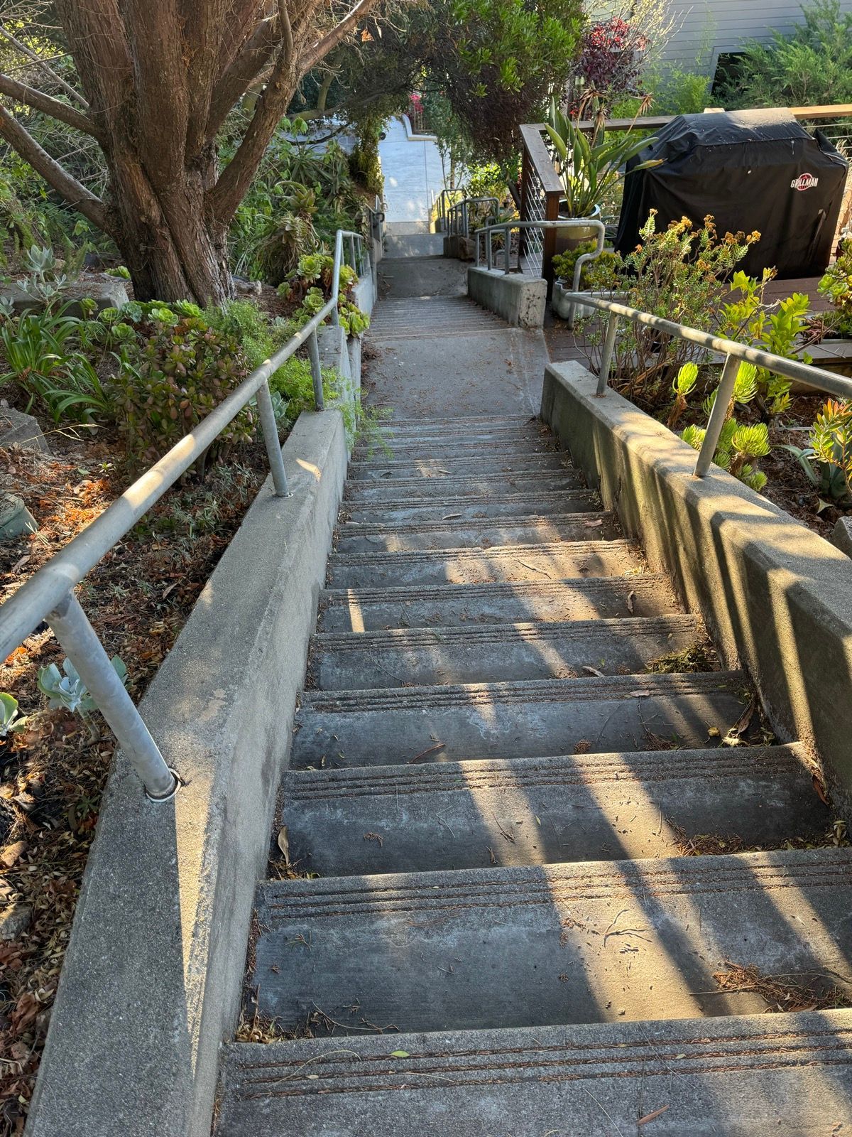 all the stairs and a swing!