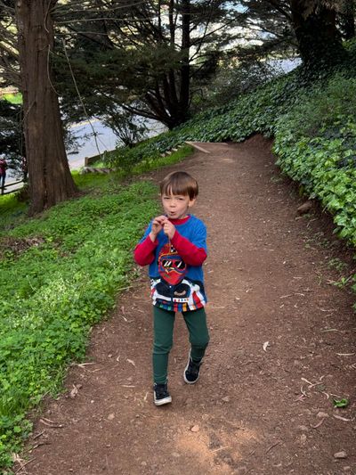 Afternoon Walk