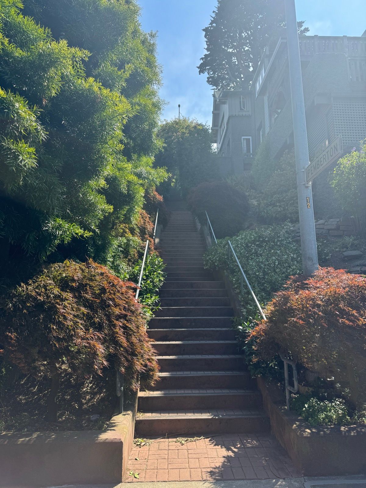 Afternoon Walk