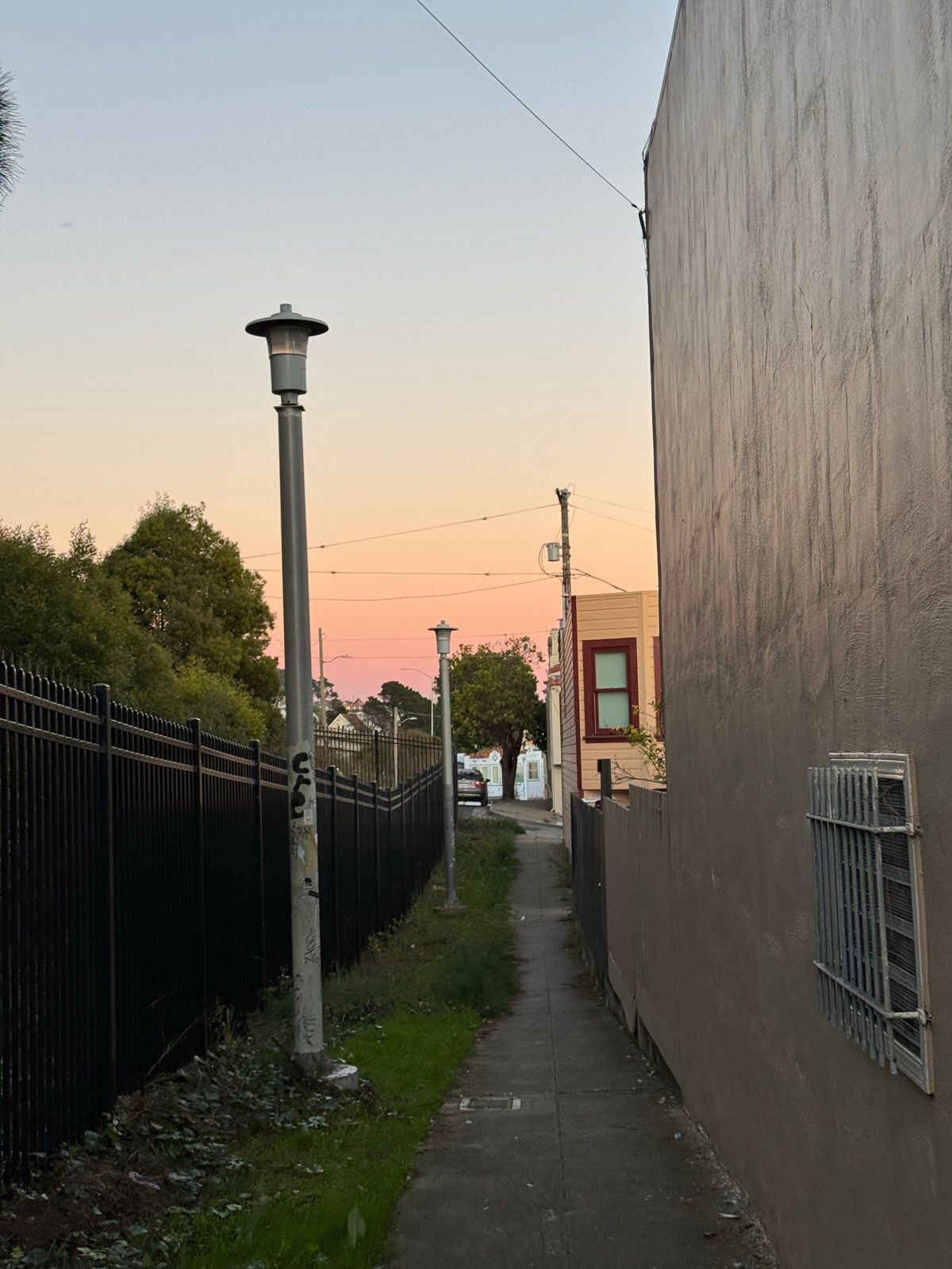 Afternoon Walk
