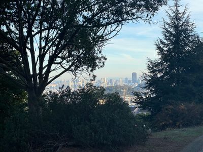 Morning Walk