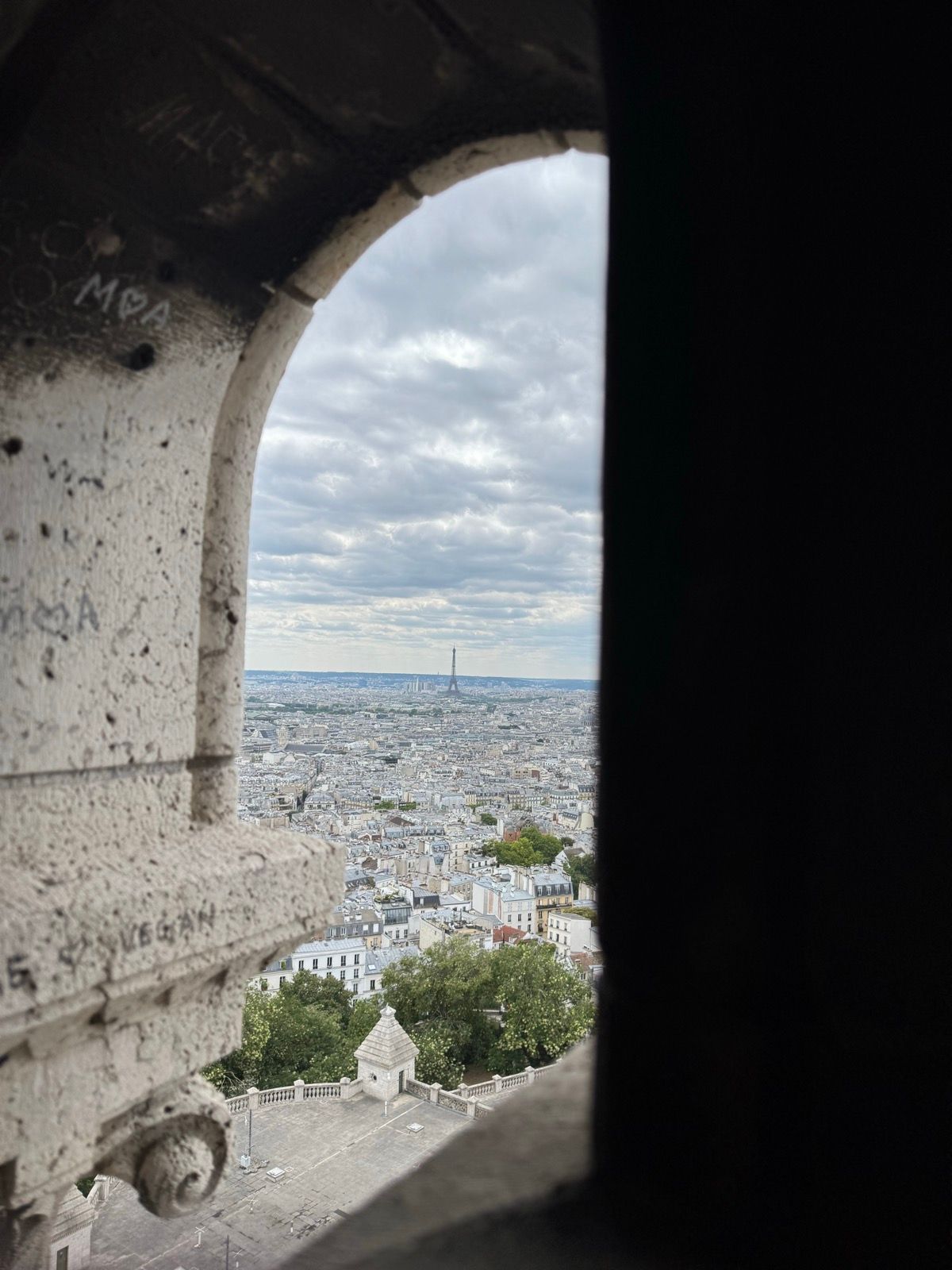 Afternoon Walk