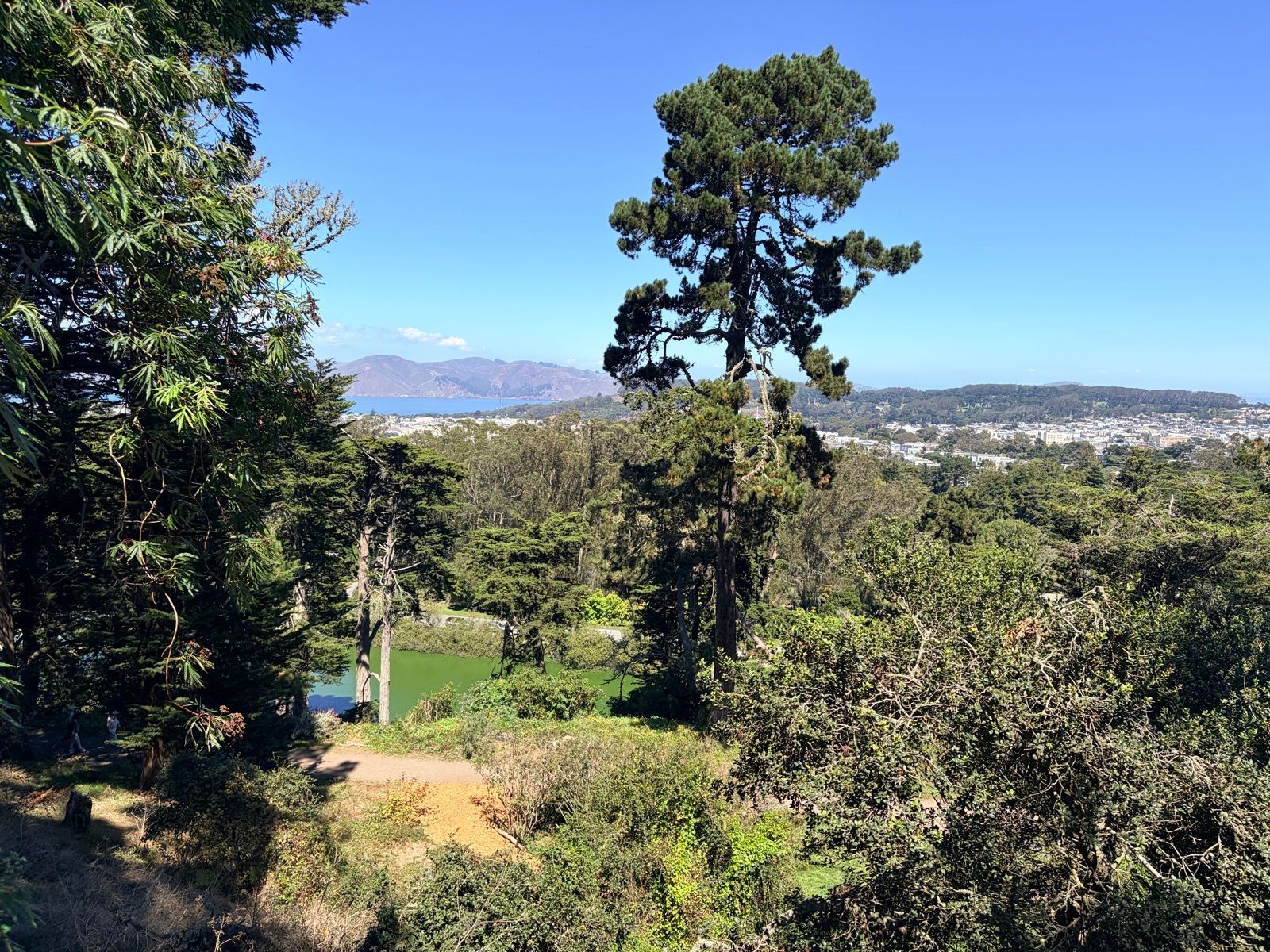 Blue Heron Lake and Strawberry Hill Loop