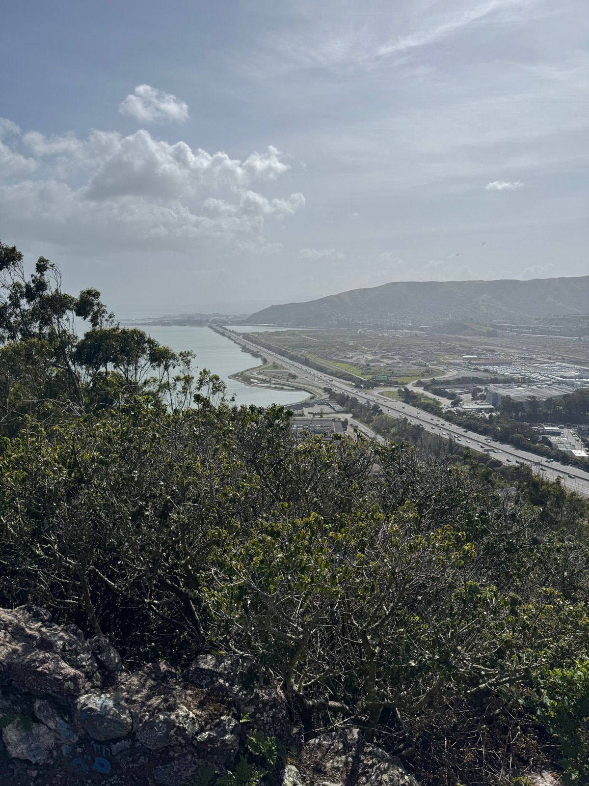 Afternoon Walk