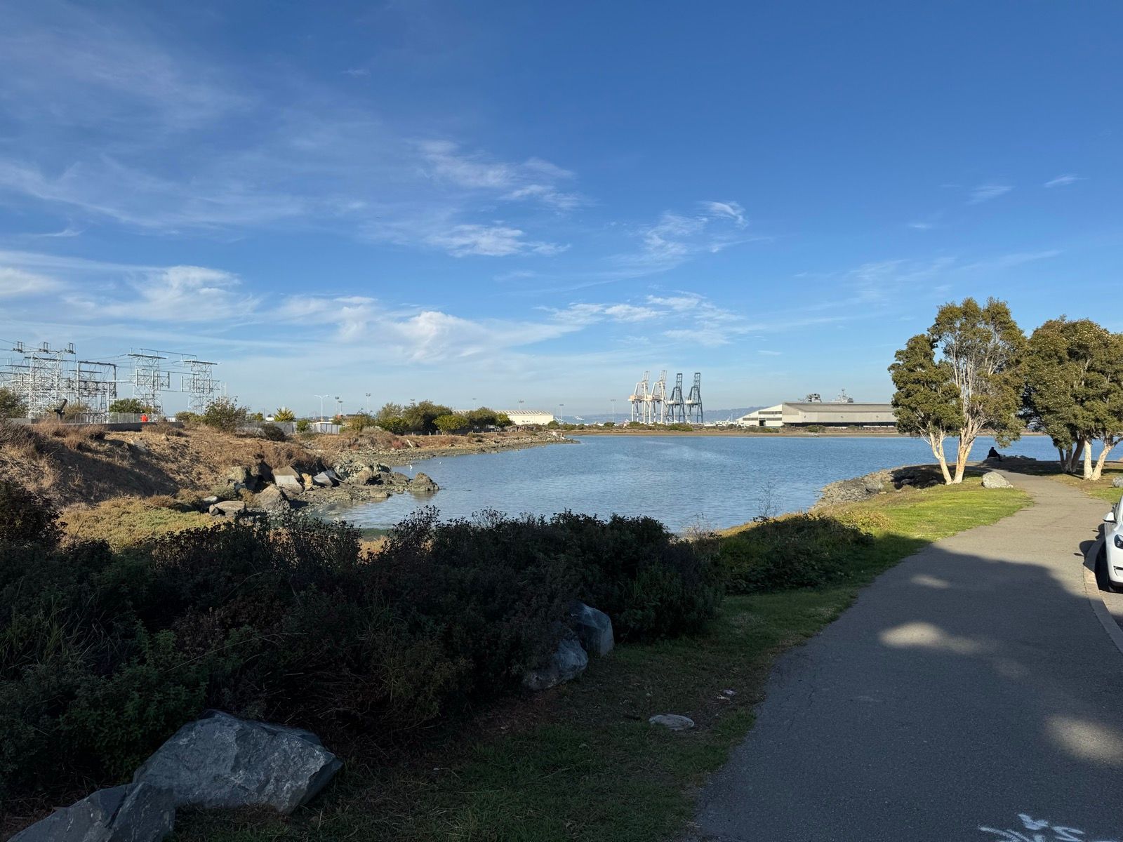 Afternoon Walk
