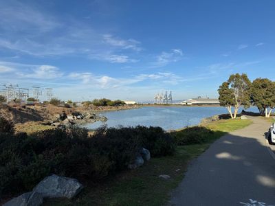 Afternoon Walk