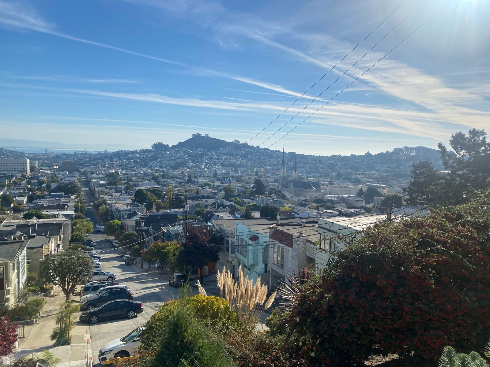 Morning Walk