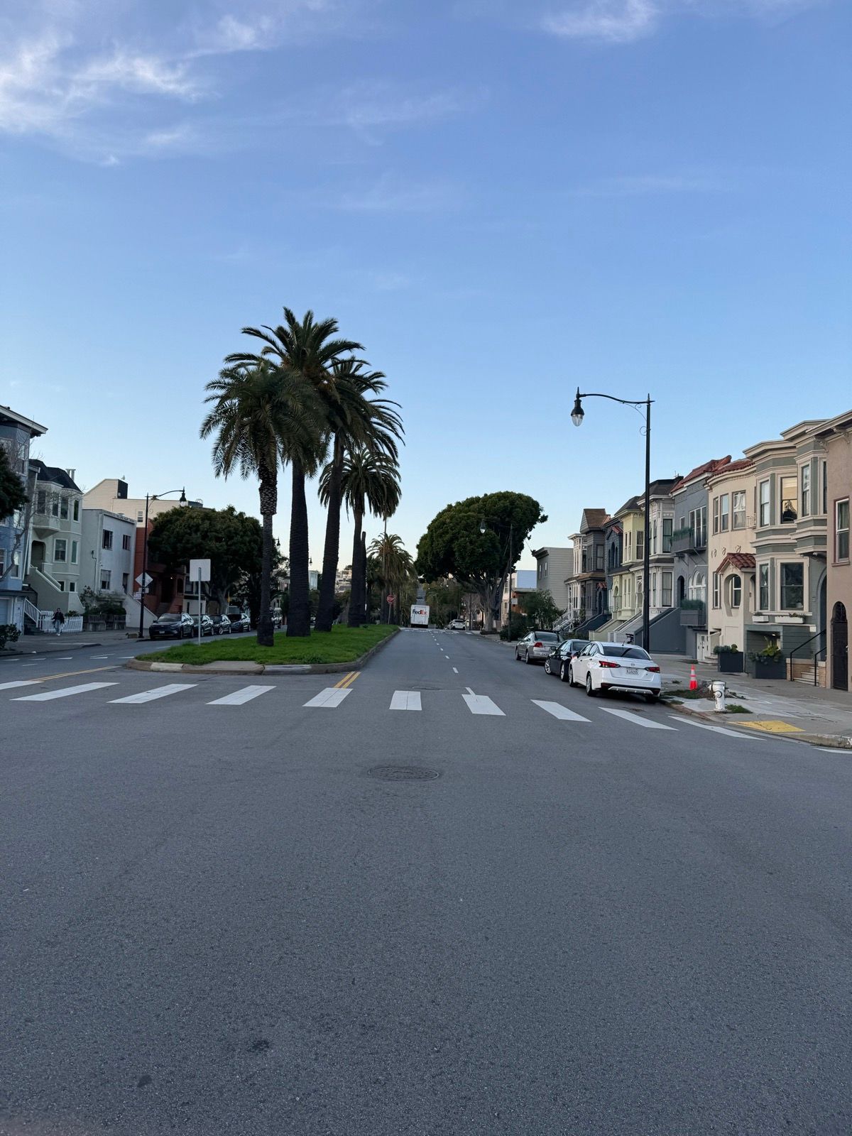 Afternoon Walk