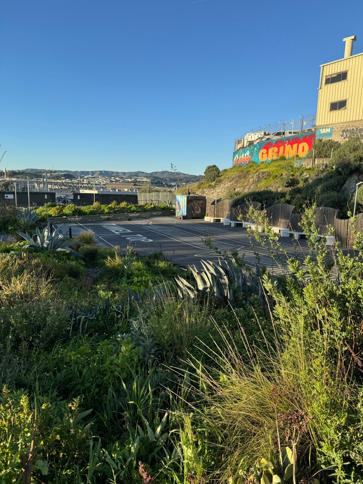 starting on potrero