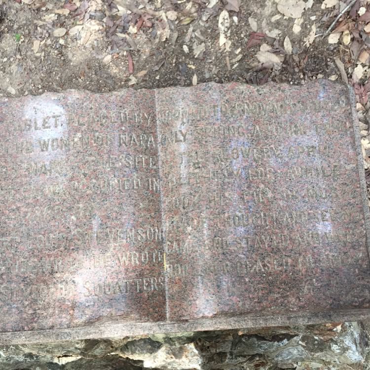 Robert Louis Stevenson St park to the top of Mt. St. Helena. http://bahiker.com/northbayhikes/rlssp.html