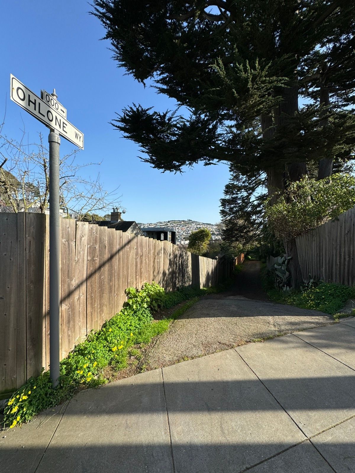 Afternoon Walk
