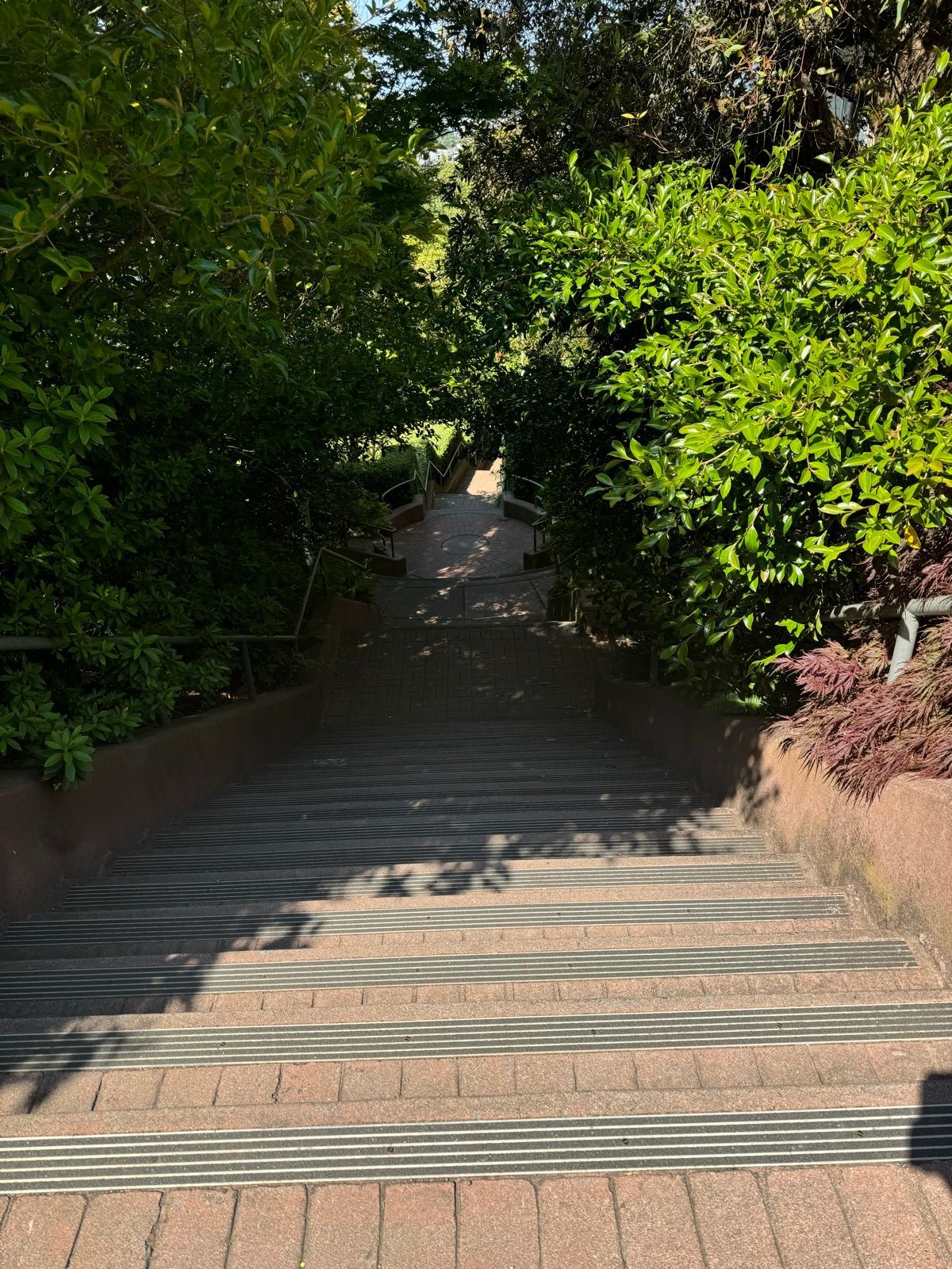Afternoon Walk