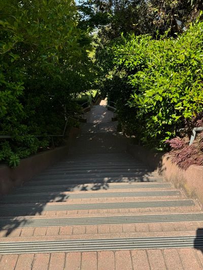 Afternoon Walk