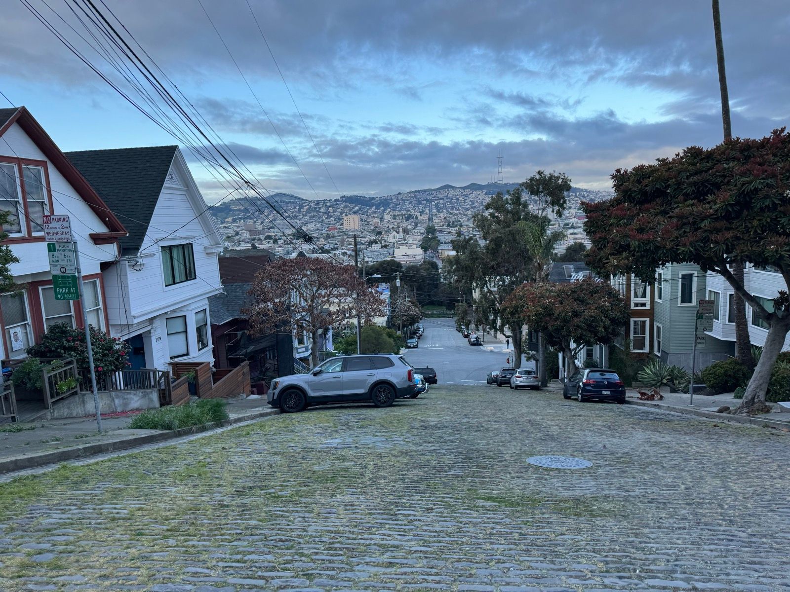 Morning Walk