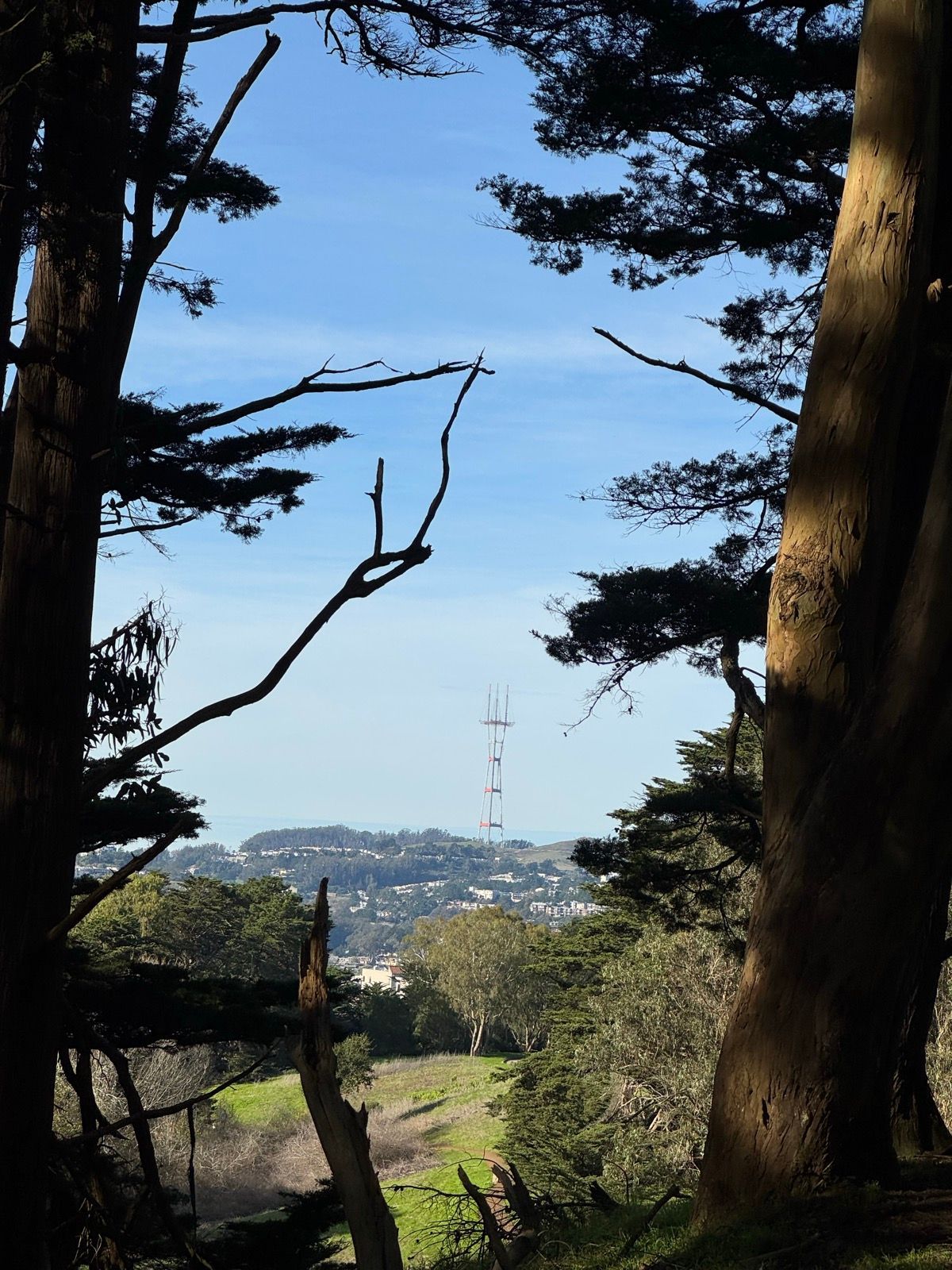 Afternoon Walk