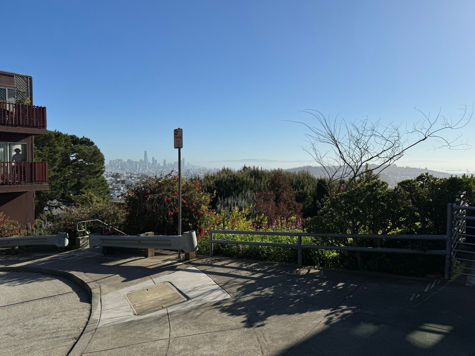 Morning Walk