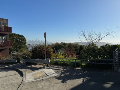 Morning Walk
