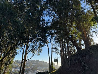 Morning Walk