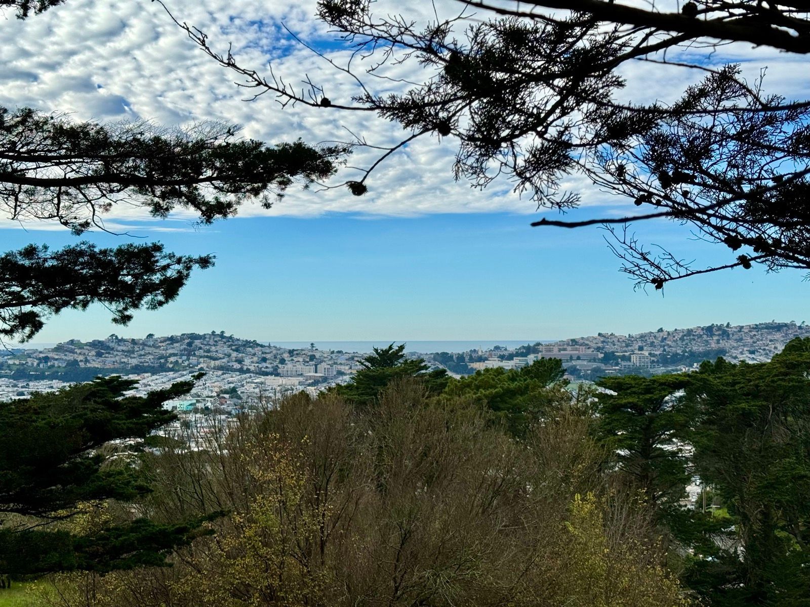 Afternoon Walk