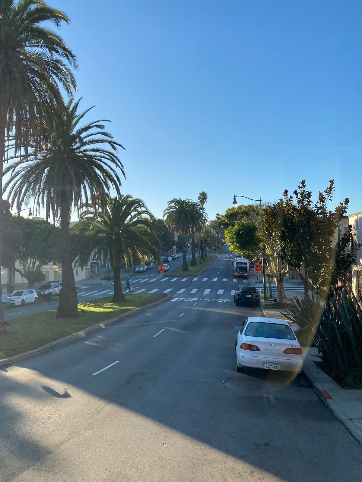 Morning Walk