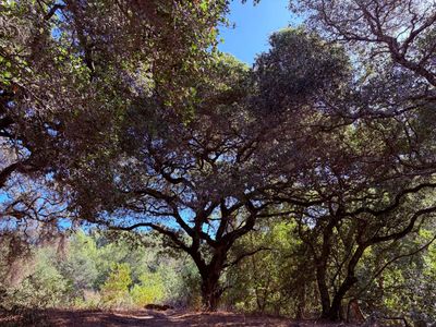 Westwood Hills Park Western Loop