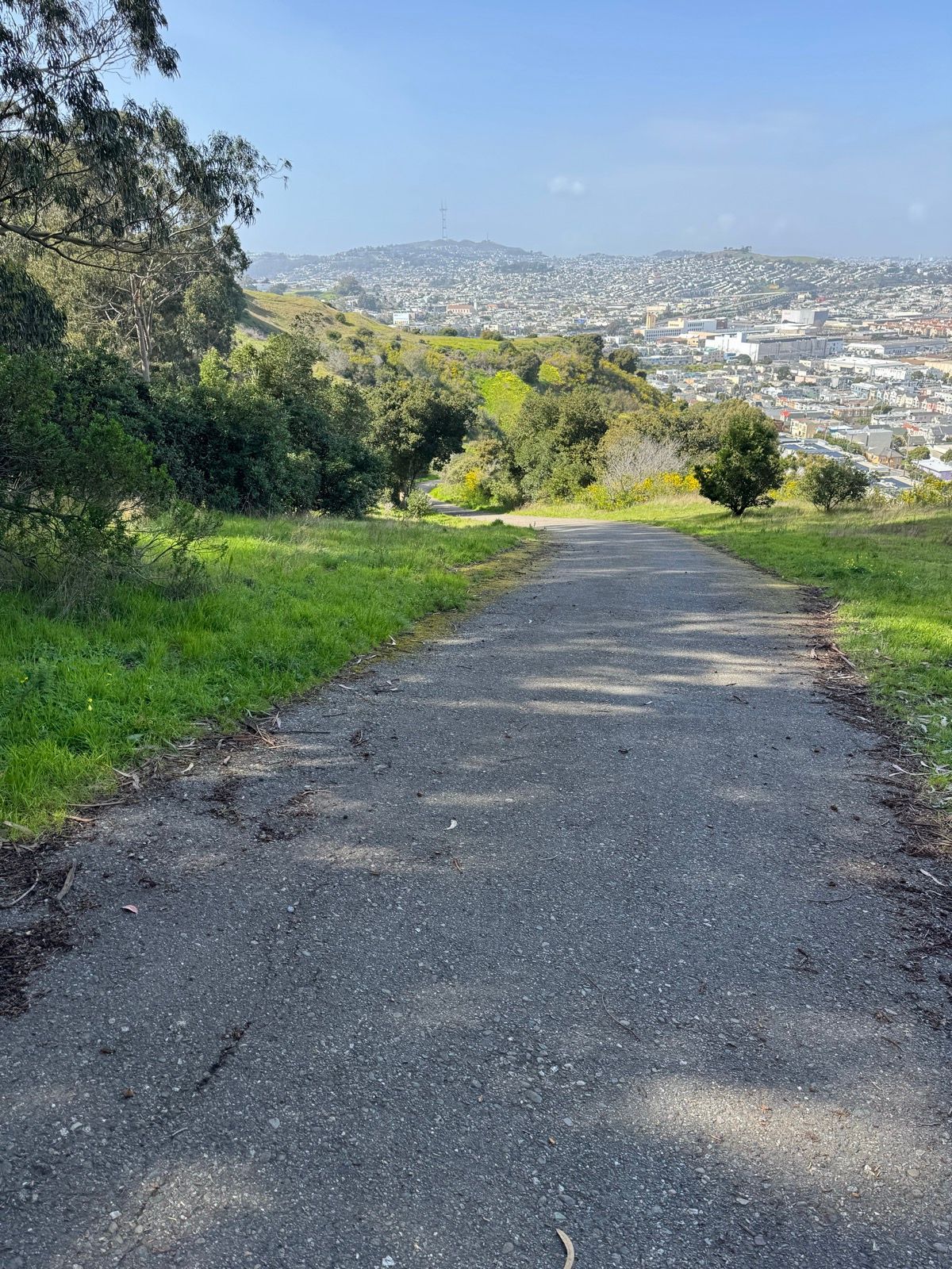 Afternoon Walk