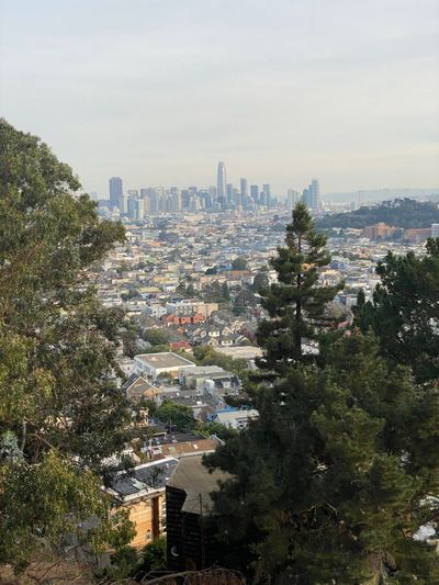 Morning Walk