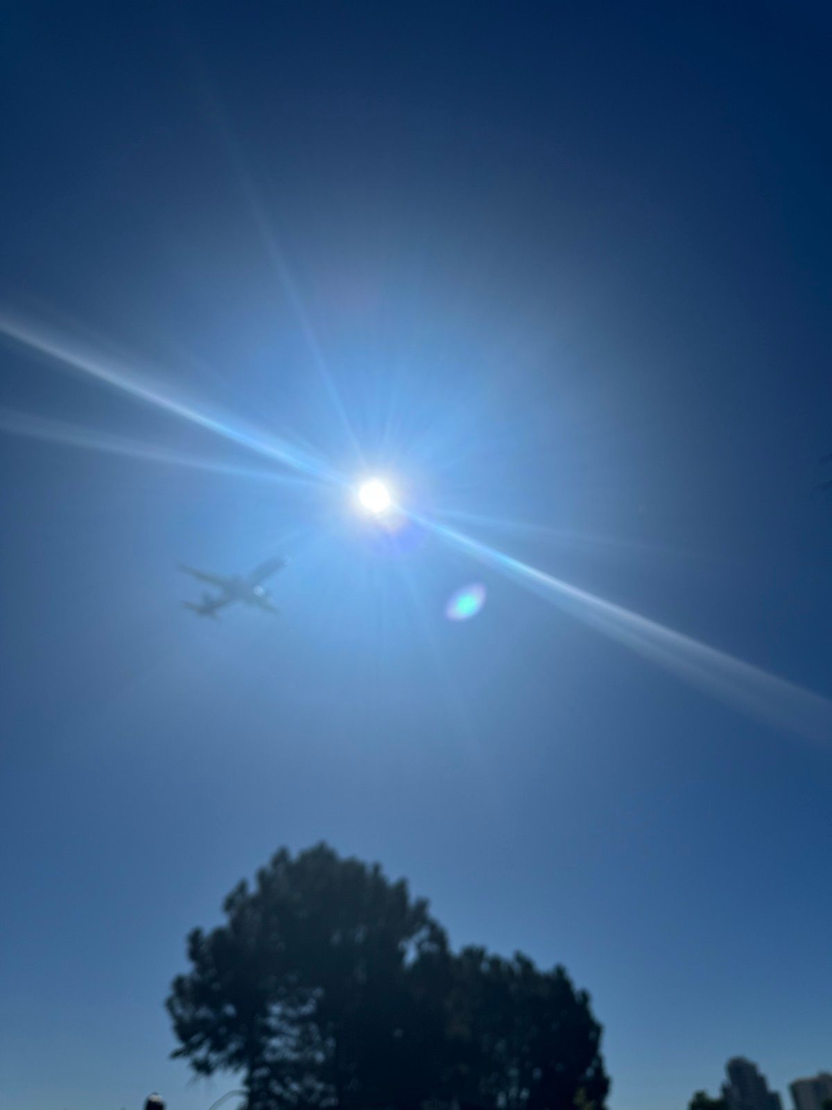 🐿️🐿️🐿️🛩️🛩️🛩️✈️✈️✈️