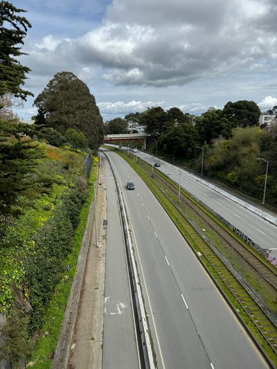 Afternoon Walk