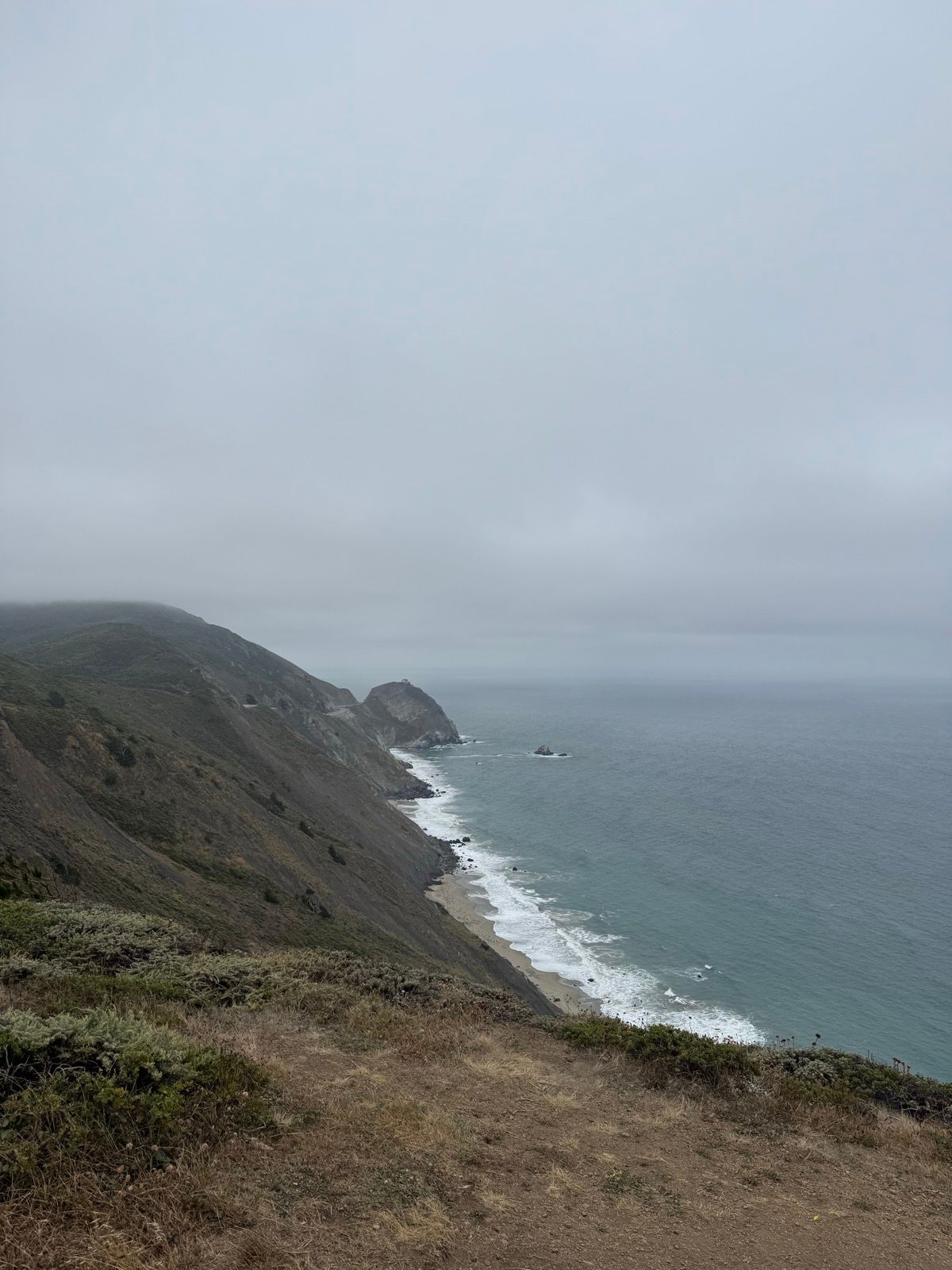 Whale watching from the Pedro Point Headlands on Foggy afternoon.