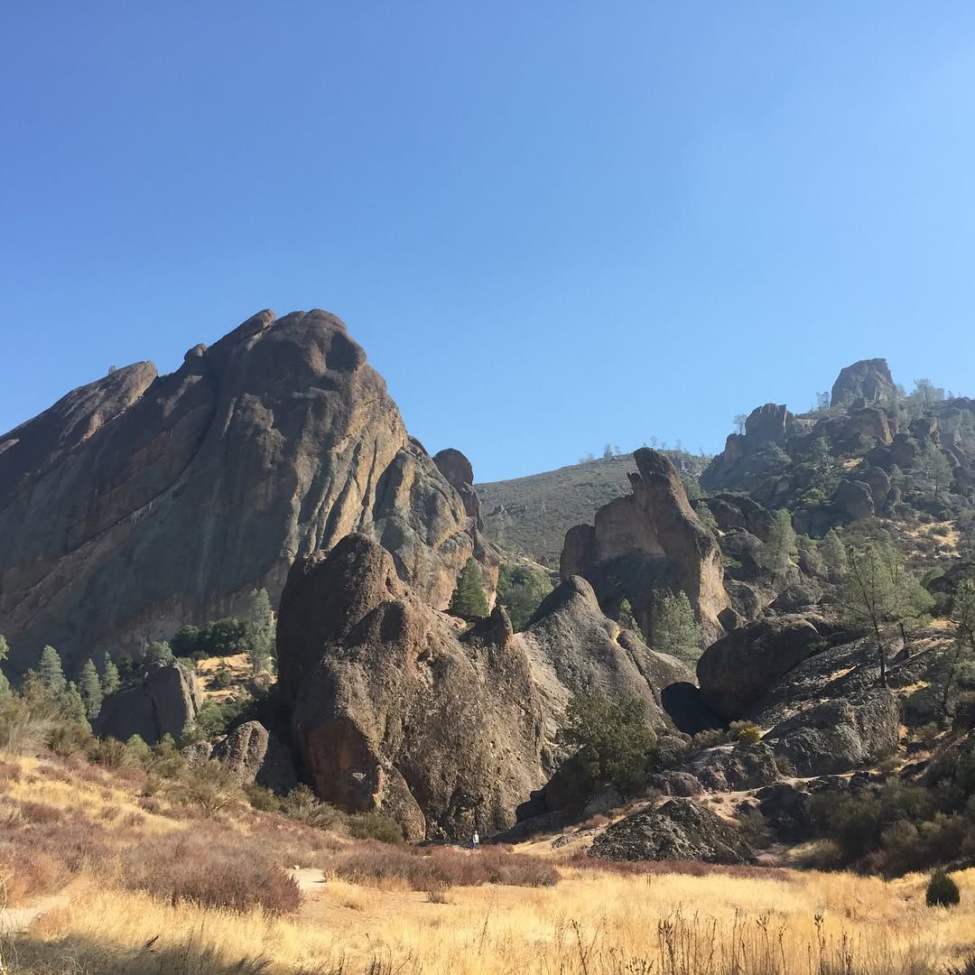 Balconies to Old Pinnacles to High Peaks, 2,400 of elevation change over 8.6 miles.
