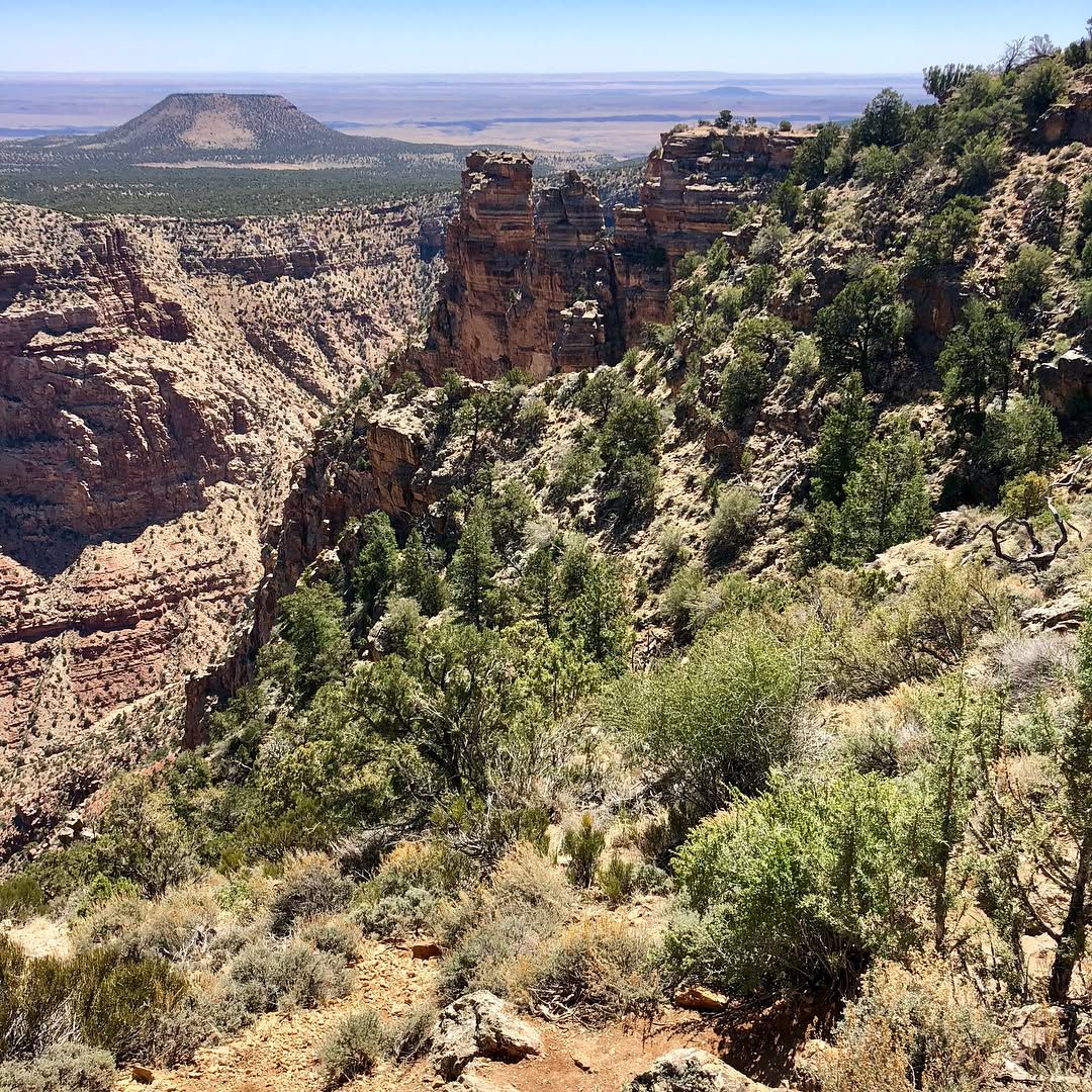 Navajo Point at the Hopi inspired Desert Tower on our way out of the park.