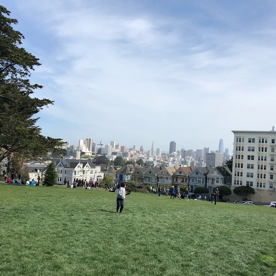 Spent the afternoon tagging doors for Prop F with @vurtyou from Alamo square and back.