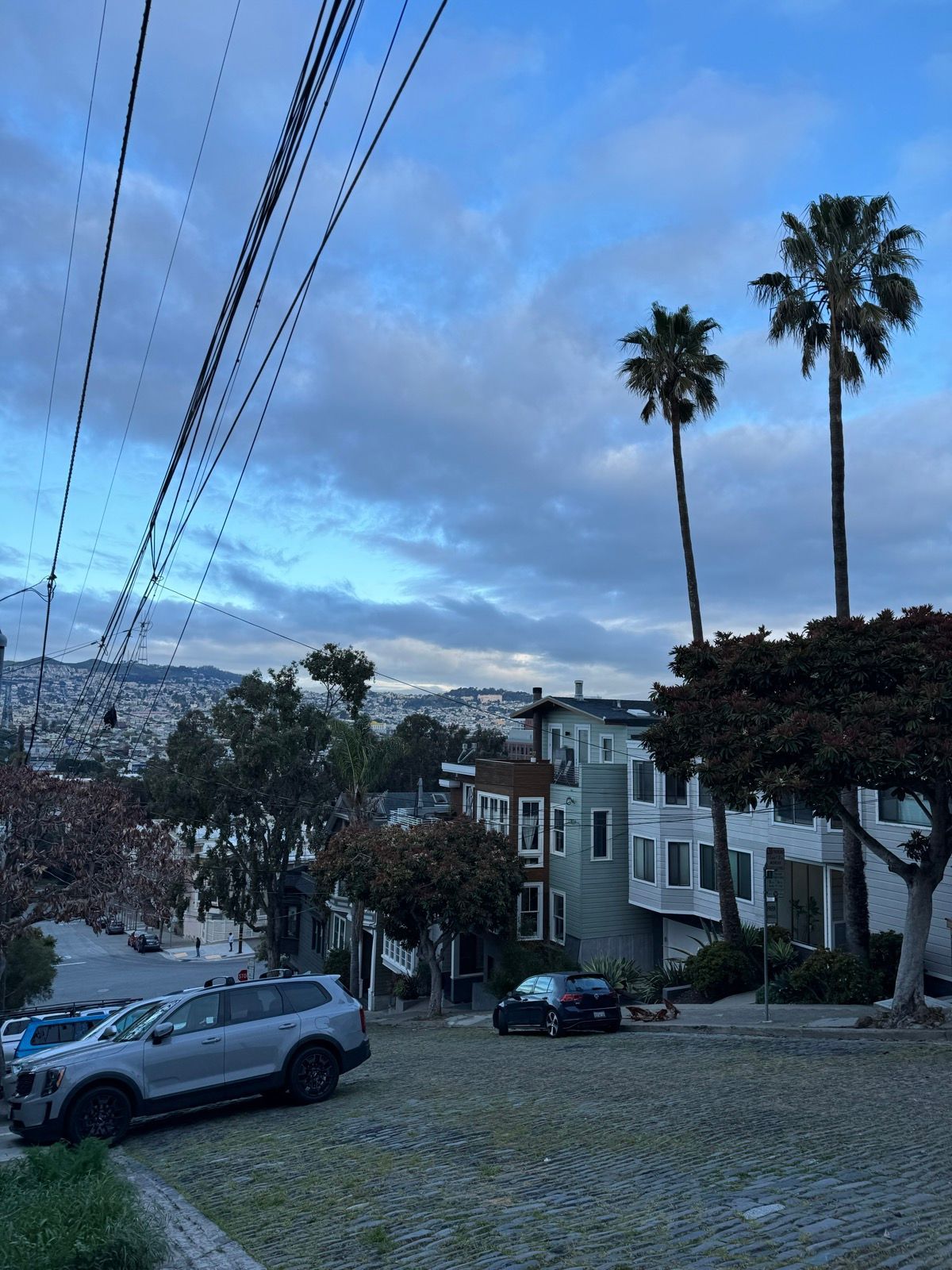 Morning Walk