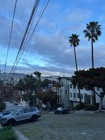 Morning Walk