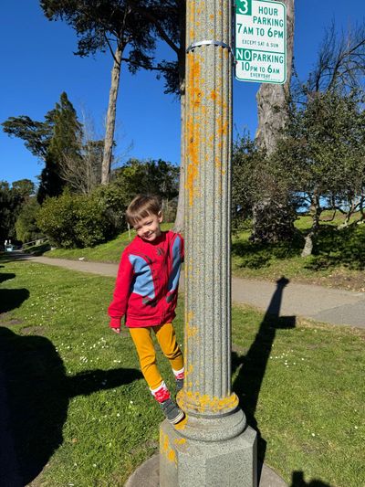 Afternoon Walk