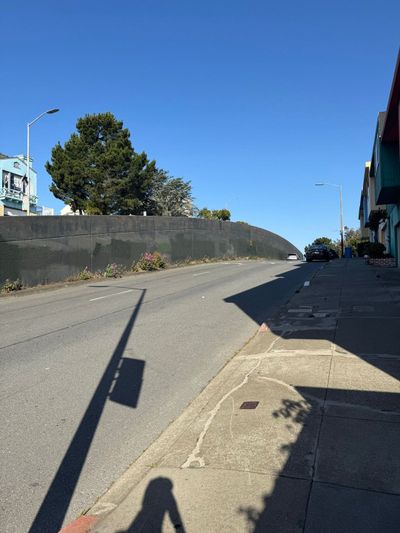 Morning Walk