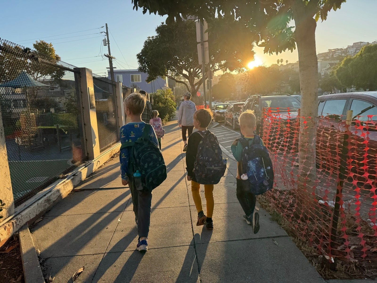 Morning Walk