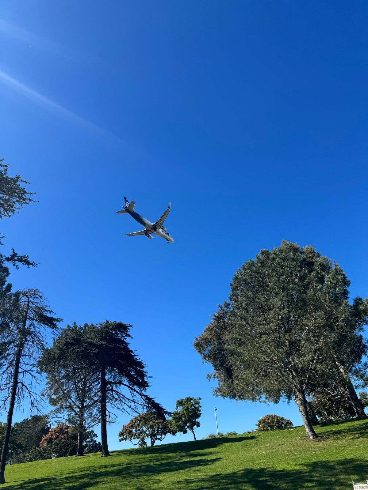 🐿️🐿️🐿️🛩️🛩️🛩️✈️✈️✈️