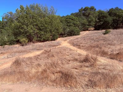 Westwood Hills Park Western Loop