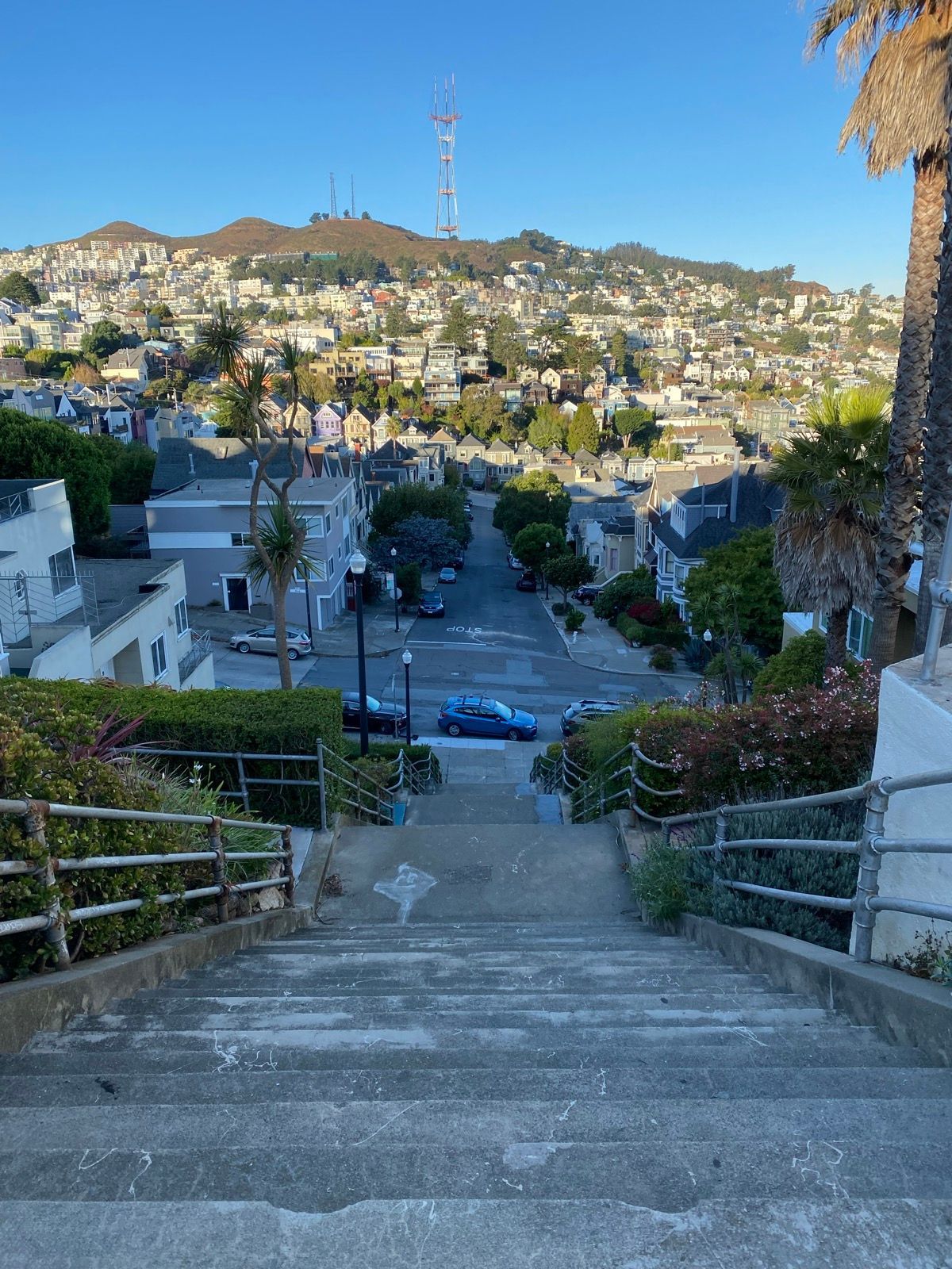 Morning Walk